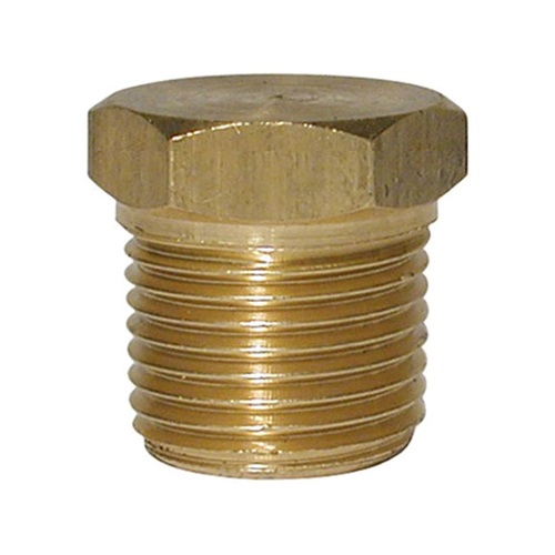   DN25 (1" NB) 10 BAR HEX HEAD BRASS PLUG