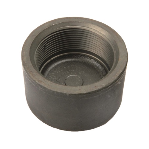   DN25 (1" NB) NPT 3000# FS CAP END A105N (copy)